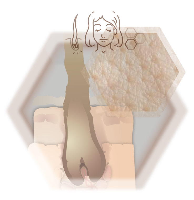 Illustration Haarfokus